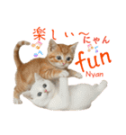ネコだ！ It's a cat！（個別スタンプ：6）