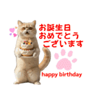 ネコだ！ It's a cat！（個別スタンプ：21）