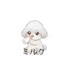 赤ちゃんトイプードル（グレー、シルバー）（個別スタンプ：1）