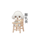 赤ちゃんトイプードル（グレー、シルバー）（個別スタンプ：2）