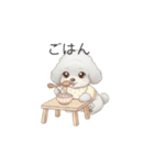 赤ちゃんトイプードル（グレー、シルバー）（個別スタンプ：3）