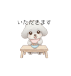 赤ちゃんトイプードル（グレー、シルバー）（個別スタンプ：5）