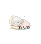赤ちゃんトイプードル（グレー、シルバー）（個別スタンプ：8）