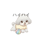 赤ちゃんトイプードル（グレー、シルバー）（個別スタンプ：9）