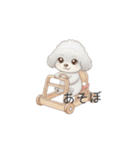 赤ちゃんトイプードル（グレー、シルバー）（個別スタンプ：10）