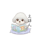 赤ちゃんトイプードル（グレー、シルバー）（個別スタンプ：13）