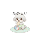 赤ちゃんトイプードル（グレー、シルバー）（個別スタンプ：19）