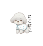 赤ちゃんトイプードル（グレー、シルバー）（個別スタンプ：22）