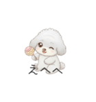 赤ちゃんトイプードル（グレー、シルバー）（個別スタンプ：24）