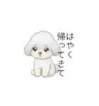 赤ちゃんトイプードル（グレー、シルバー）（個別スタンプ：27）