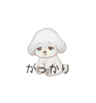 赤ちゃんトイプードル（グレー、シルバー）（個別スタンプ：28）