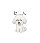 赤ちゃんトイプードル（グレー、シルバー）（個別スタンプ：29）