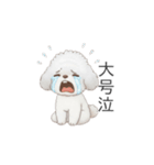 赤ちゃんトイプードル（グレー、シルバー）（個別スタンプ：33）