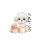 赤ちゃんトイプードル（グレー、シルバー）（個別スタンプ：34）