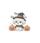 赤ちゃんトイプードル（グレー、シルバー）（個別スタンプ：37）