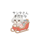 赤ちゃんトイプードル（グレー、シルバー）（個別スタンプ：40）