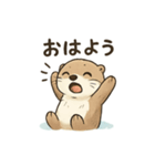 ラッコのほっこり日常スタンプ（個別スタンプ：12）