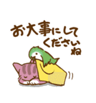 夏から秋へのペットたちの日常会話（個別スタンプ：3）
