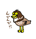 日本の絶滅危惧種シリーズ「サシヴァ」（個別スタンプ：25）