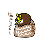 日本の絶滅危惧種シリーズ「サシヴァ」（個別スタンプ：38）