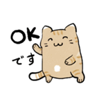 丁寧！白へそ猫（個別スタンプ：1）