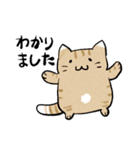丁寧！白へそ猫（個別スタンプ：3）
