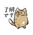 丁寧！白へそ猫（個別スタンプ：4）