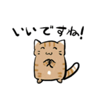 丁寧！白へそ猫（個別スタンプ：6）