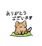 丁寧！白へそ猫（個別スタンプ：7）