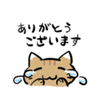 丁寧！白へそ猫（個別スタンプ：9）