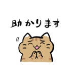 丁寧！白へそ猫（個別スタンプ：11）