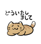 丁寧！白へそ猫（個別スタンプ：12）