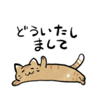 丁寧！白へそ猫（個別スタンプ：14）