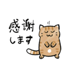 丁寧！白へそ猫（個別スタンプ：16）