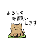 丁寧！白へそ猫（個別スタンプ：17）