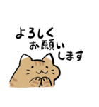 丁寧！白へそ猫（個別スタンプ：18）