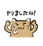 丁寧！白へそ猫（個別スタンプ：24）