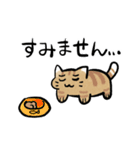 丁寧！白へそ猫（個別スタンプ：27）