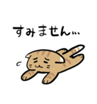 丁寧！白へそ猫（個別スタンプ：28）