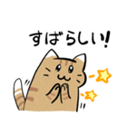 丁寧！白へそ猫（個別スタンプ：32）