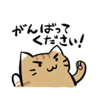 丁寧！白へそ猫（個別スタンプ：34）