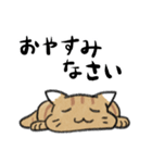 丁寧！白へそ猫（個別スタンプ：36）