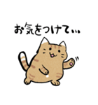 丁寧！白へそ猫（個別スタンプ：39）