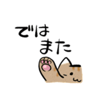 丁寧！白へそ猫（個別スタンプ：40）