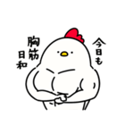 筋トレ大好きトリマッチョ5（個別スタンプ：13）