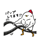 筋トレ大好きトリマッチョ5（個別スタンプ：17）