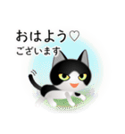 色々な猫16-1 短毛-立ち耳-黒白（個別スタンプ：1）