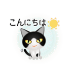 色々な猫16-1 短毛-立ち耳-黒白（個別スタンプ：5）