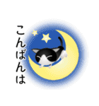 色々な猫16-1 短毛-立ち耳-黒白（個別スタンプ：7）