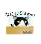 色々な猫16-1 短毛-立ち耳-黒白（個別スタンプ：8）
